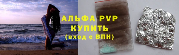 индика Баксан