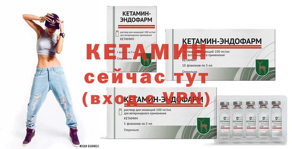 прущие грибы Беломорск