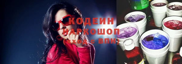 индика Баксан