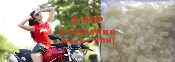 индика Баксан