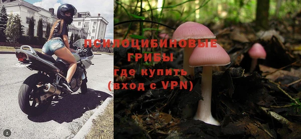 ешки Балахна