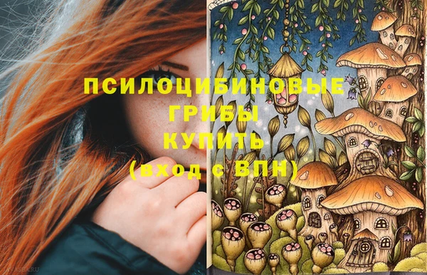 ешки Балахна