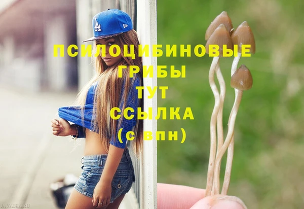 индика Баксан