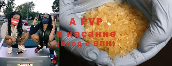 индика Баксан