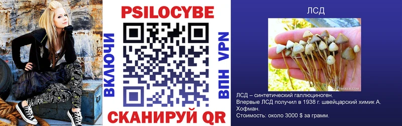 Псилоцибиновые грибы мицелий Ливны